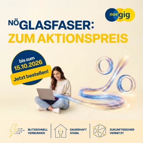 260812_nöGIG_Aktionspreis_BUTTON_Gemeindewebsite_800x800px_300dpi_1.jpg