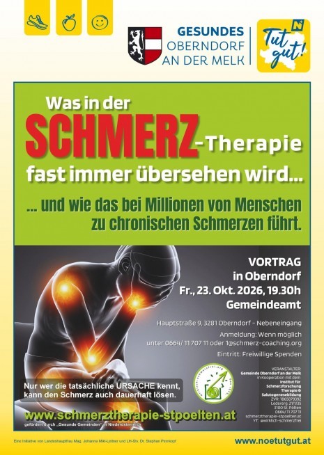 20261023 chronische Schmerzen