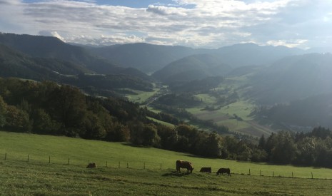 Freies Bauland