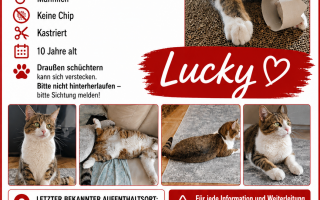 ChatGPT Image 24. Aug. 2026 12_46_24.png
