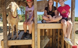 IMG-20260827-WA0034