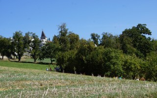 DSC00240.JPG