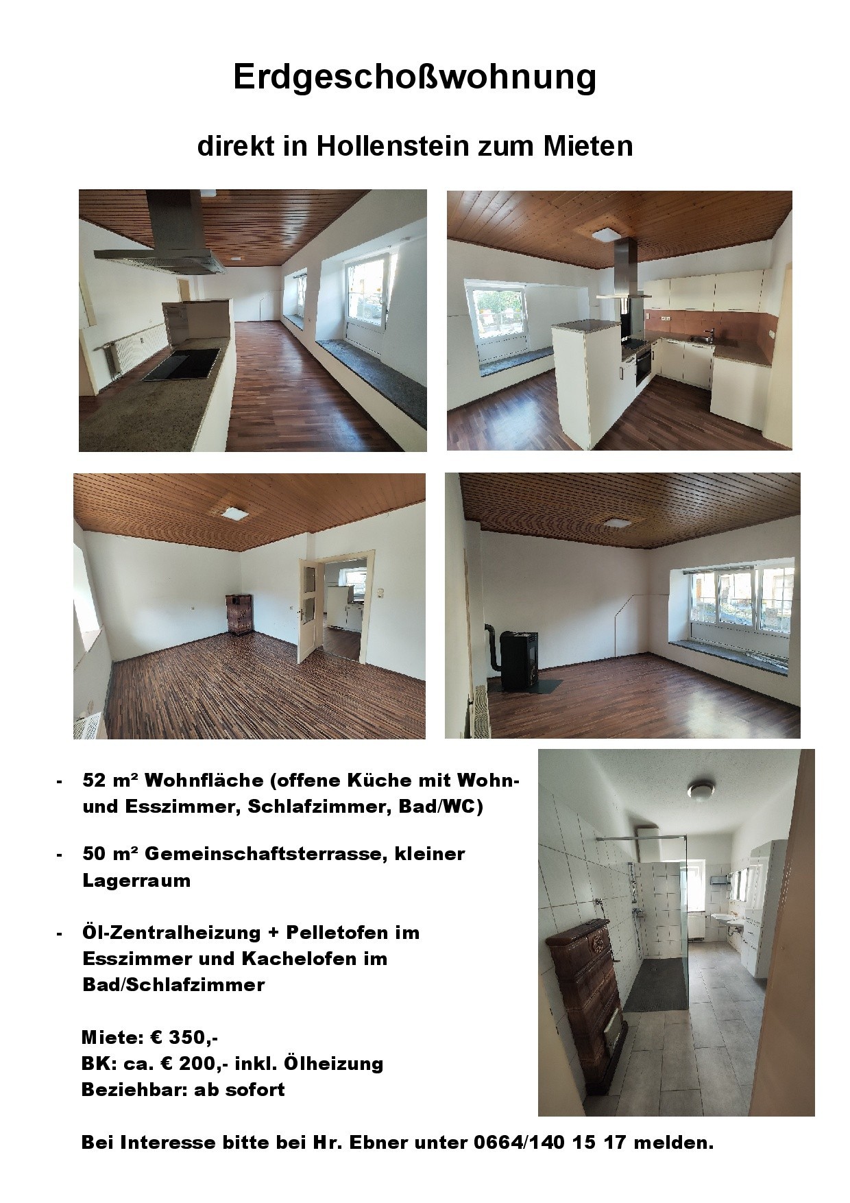 EG Wohnung in Hollenstein zum Mieten