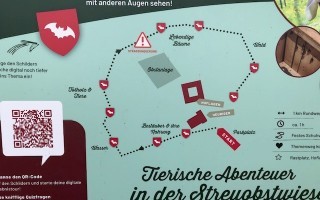 Wanderute.jpg