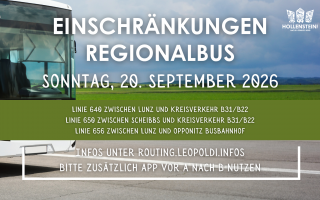 Einschränkungen Regionalbus.png