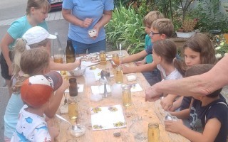 Vom Stall bis zur Donau 21.jpg