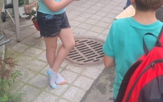 Vom Stall bis zur Donau 22.jpg