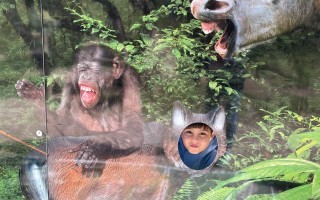 IMG_6126.jpeg