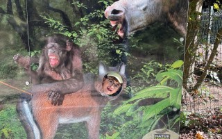 IMG_6124.jpeg