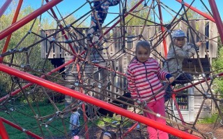 IMG_6128.jpeg