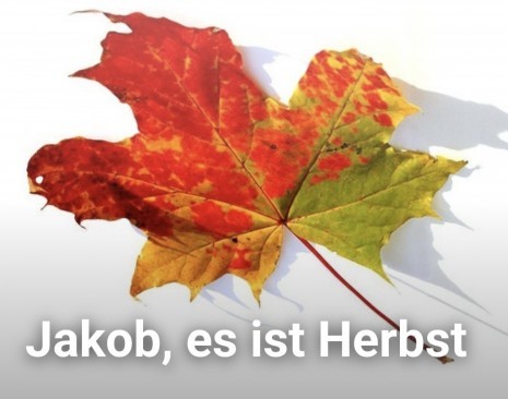 Jakob es ist Herbst 2026.jpg