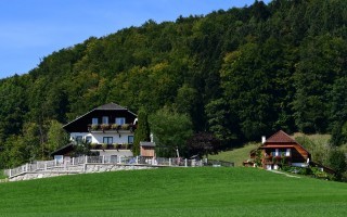 DSC_8462.JPG