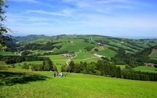 DSC_8593.JPG