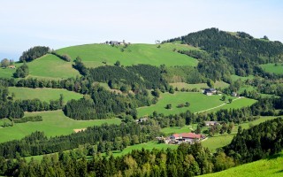 DSC_8595.JPG