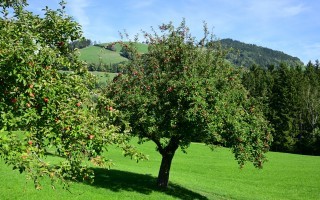 DSC_8654.JPG