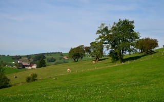 DSC_8708.JPG