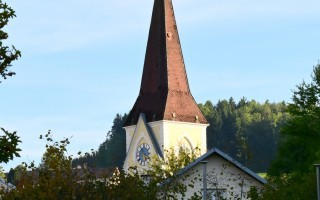 DSC_8811.JPG