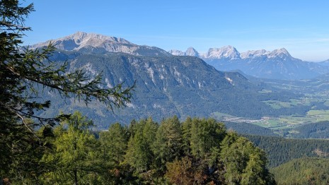 PXL_20261003_091122065