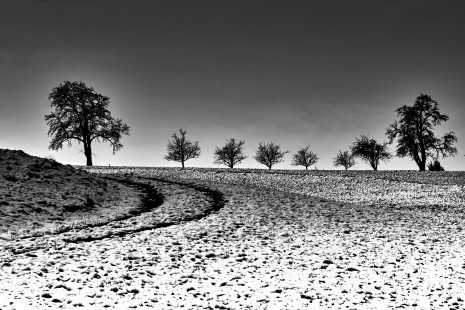Winter in Steinbach; 28.11.19