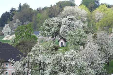 Halbinger_Kapelle_2026_1