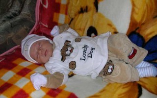 kema_1145425981.jpg