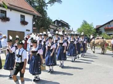 Vereine/Organisationen