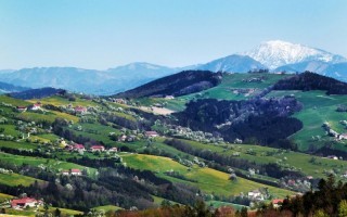 mostviertel_mostfruehling_blickamoetscher_cweinfranz.jpg