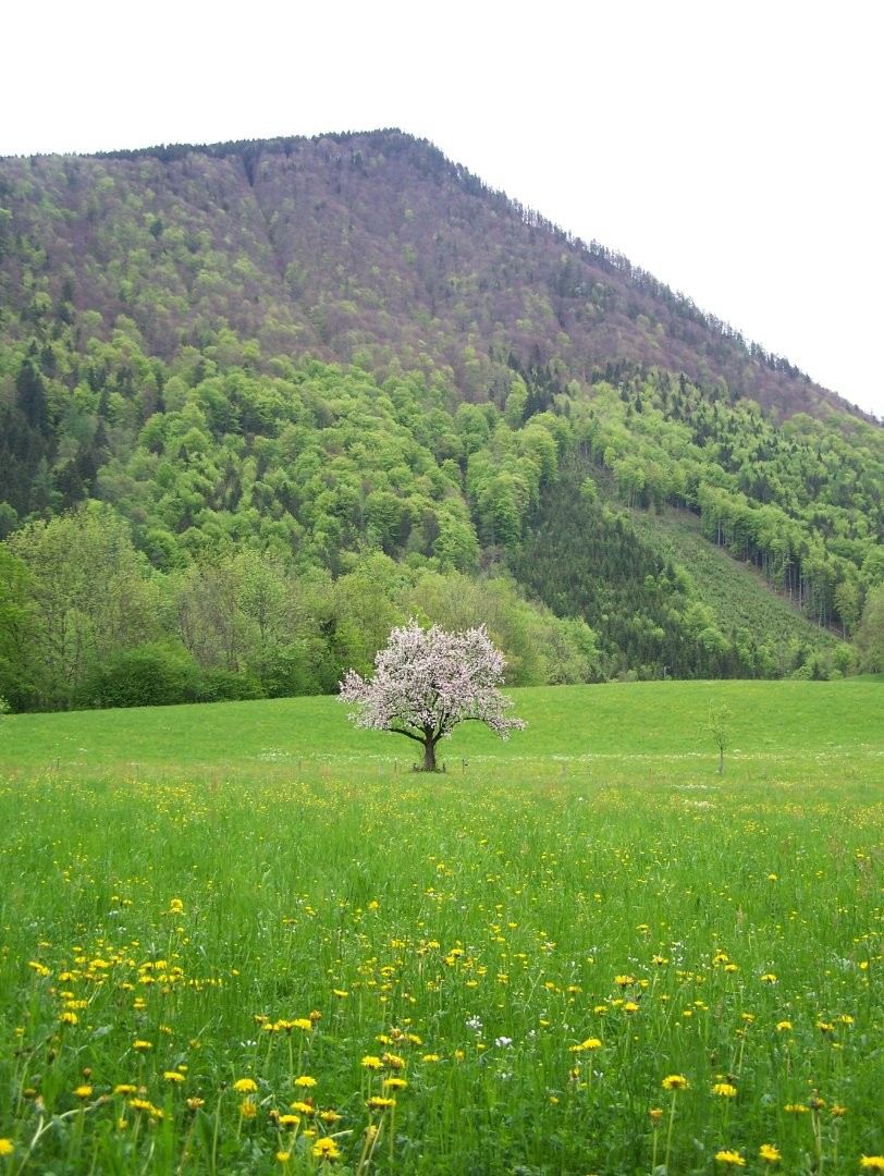 05 13.Mai2010 002