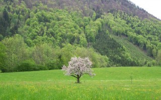 05 13.Mai2010 002.jpg