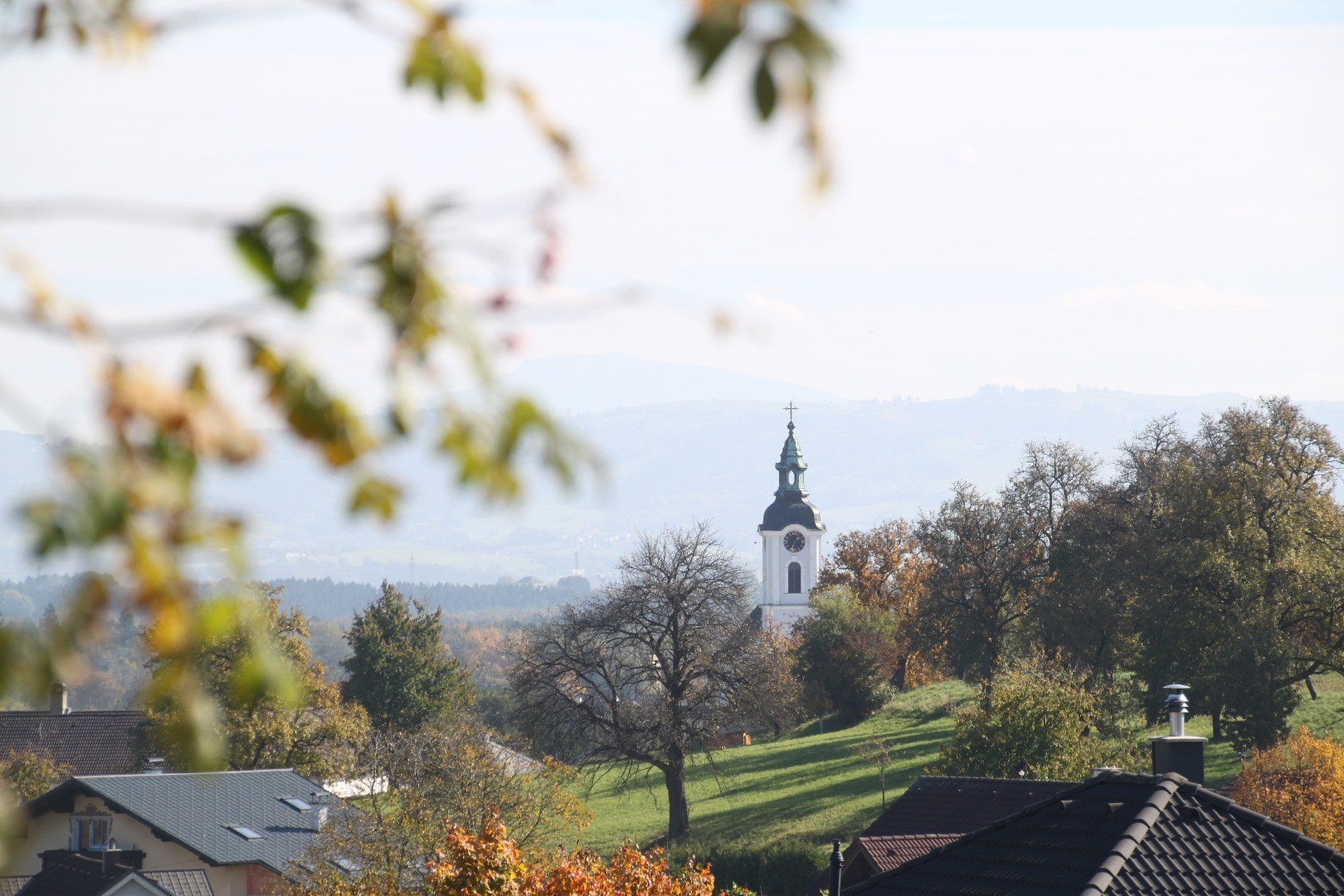 IMG_3987 - Kopie