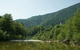 08 22082011.JPG