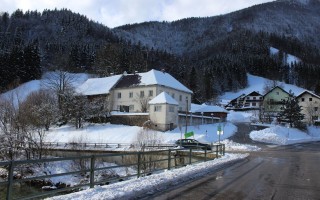 IMG_3734.JPG