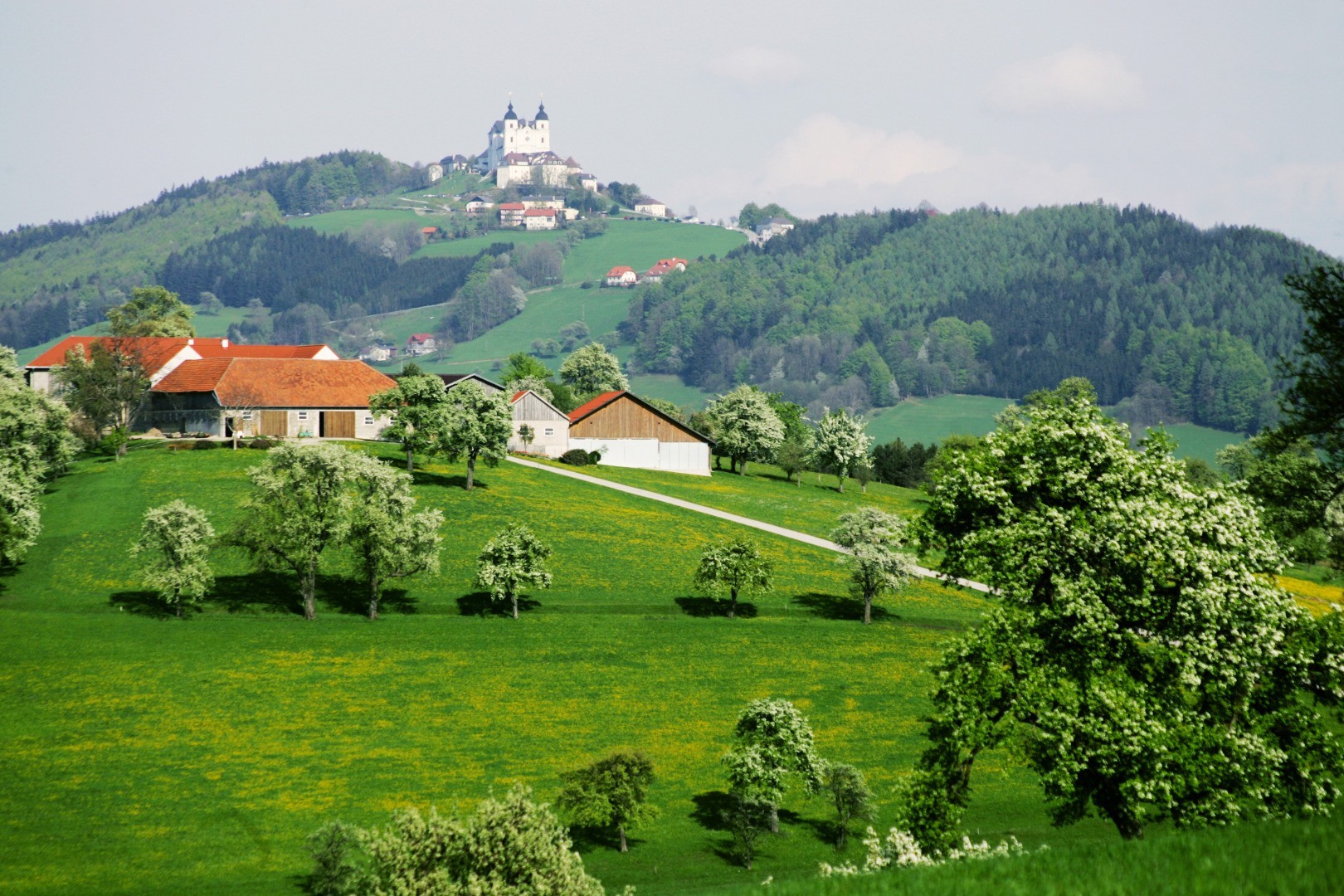 FeRRUM_Panoramahoehenweg_02.jpg