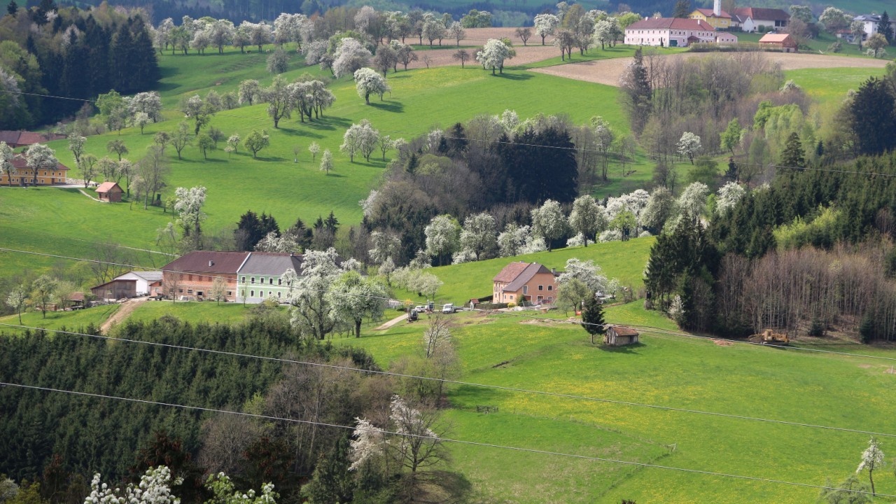 2016-04-17 Baumblüte im Mostviertel 1.JPG