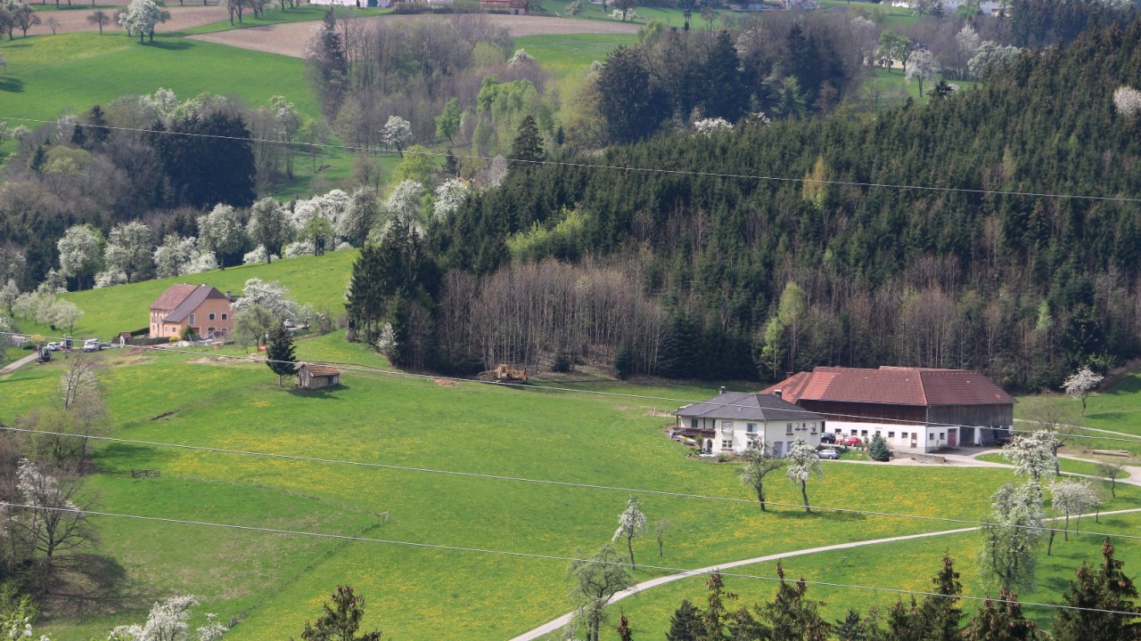 2016-04-17 Baumblüte im Mostviertel 5.JPG