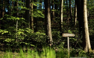 Wandern am Sonntagberg 10 - weinfranz.at.jpg