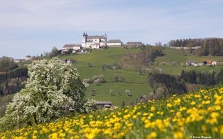 Frühling Sonntagberg (1) - Franz Wagner.JPG