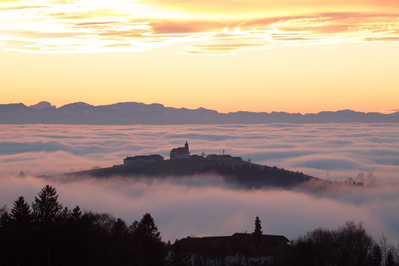 Kollmitzberg im Nebel_5_Thomas Steiner.jpg